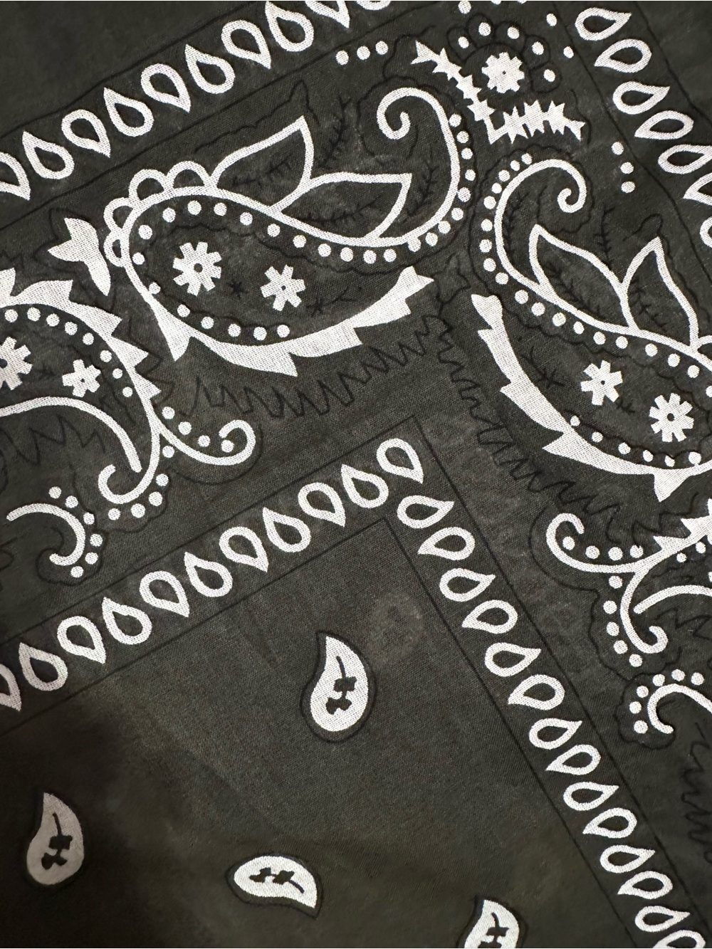 Sage Green & White Paisley Cotton Bandana